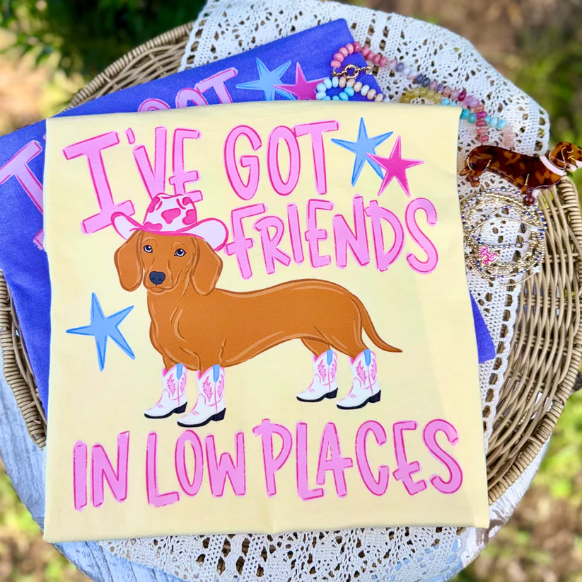 I've Got Friends in Low Places