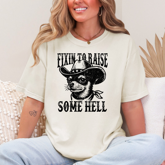 Fixin To Raise Some Hell