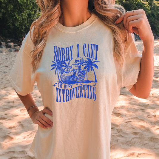 Sorry I Can't. I'm Busy Introverting