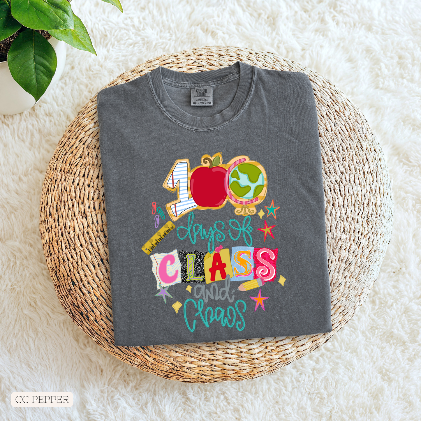 100 Days Of Class and Chaos