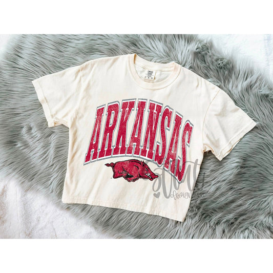 Arkansas Razorbacks Curved