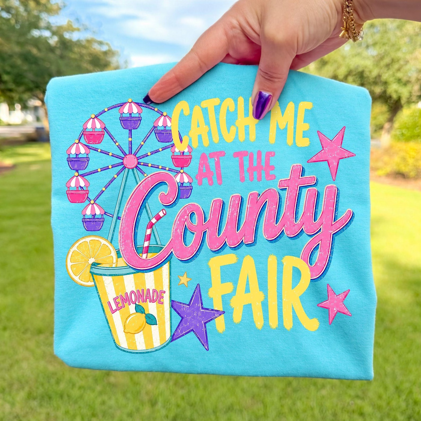 Catch Me County Fair