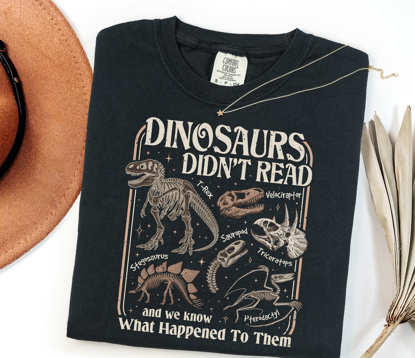Dinosaurs Didn't Read