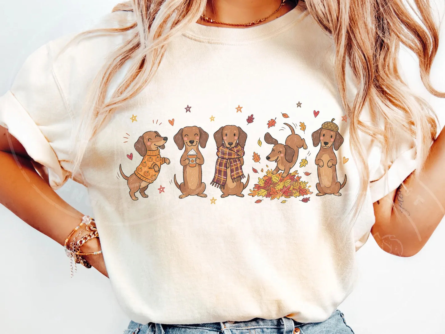 Fall Dachshund