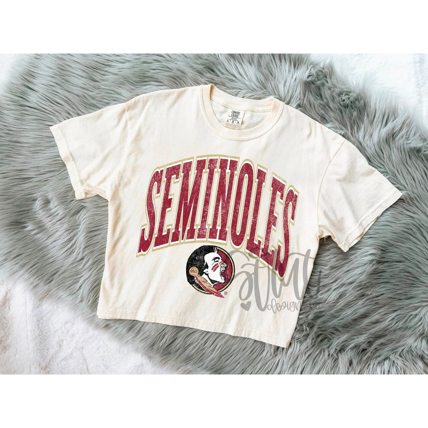 Florida State Seminoles Curved