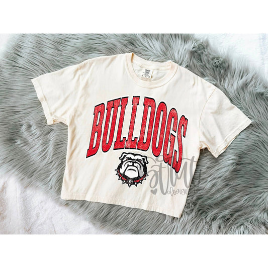 Georgia Bulldogs Curved