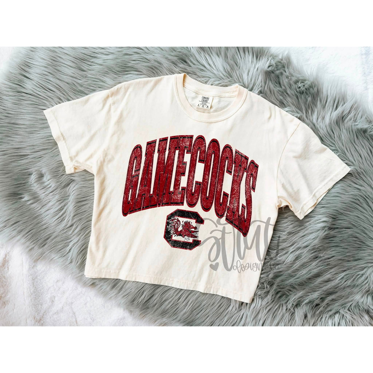 USC Gamecocks Curved