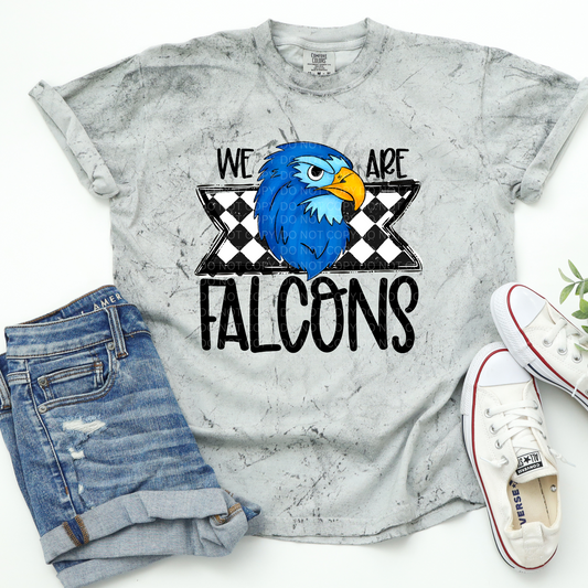 We Are Falcons
