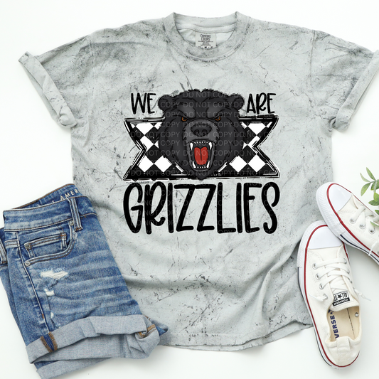 We Are Grizzlies