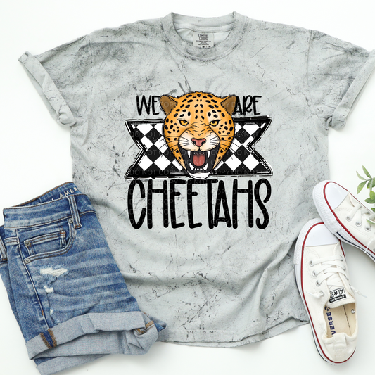 We Are Cheetahs