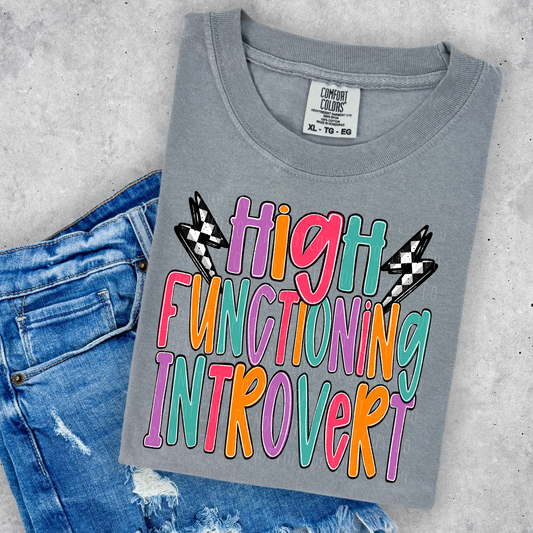 High Functioning Introvert