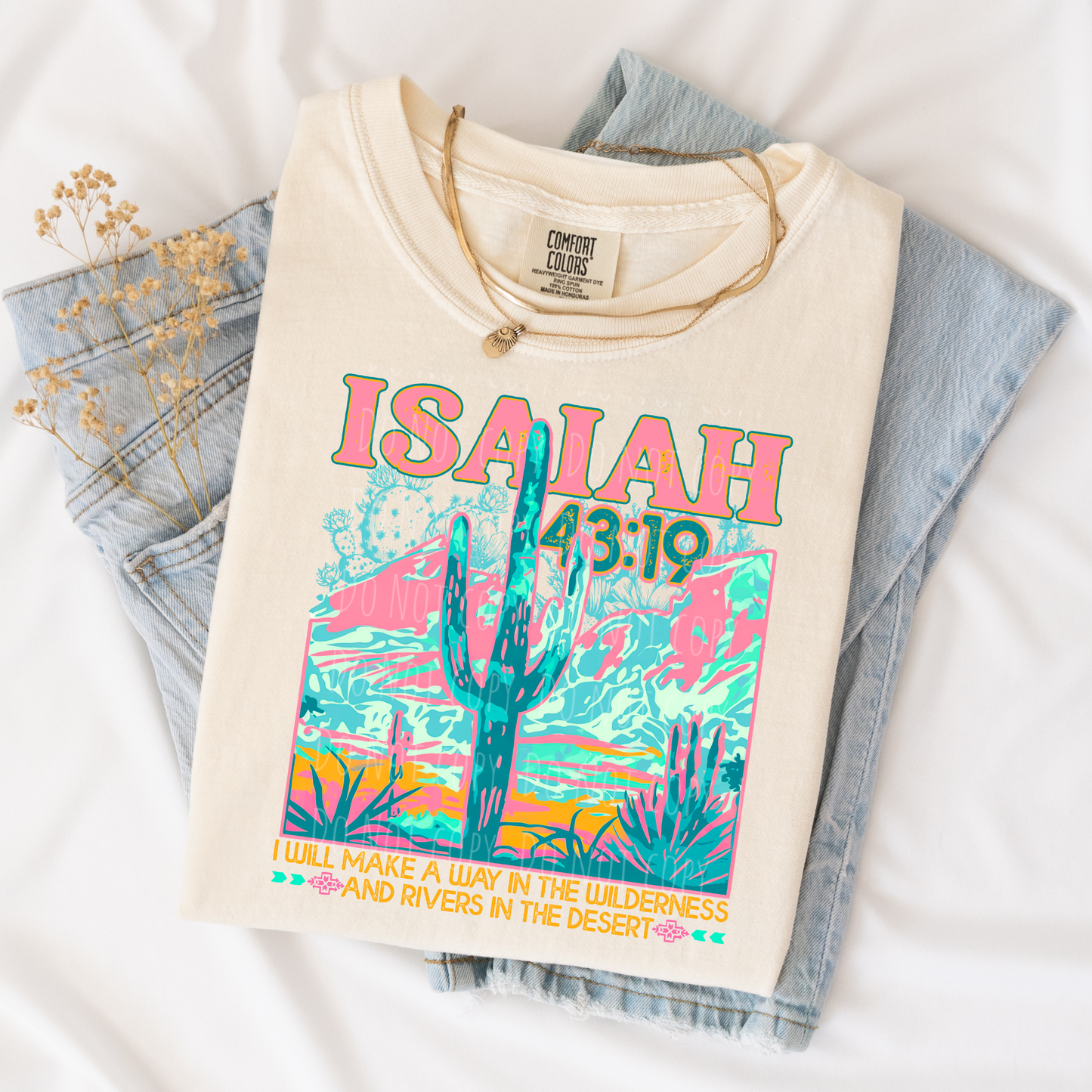 Isaiah 43:19 Desert
