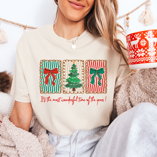 Most Wonderful Time Of The Year Frames