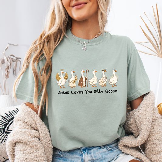 Jesus Loves You Silly Goose