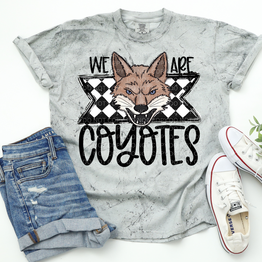 We Are Coyotes