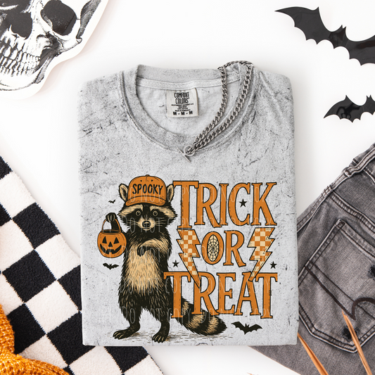 Trick or Treat Racoon
