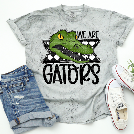 We Are Gators