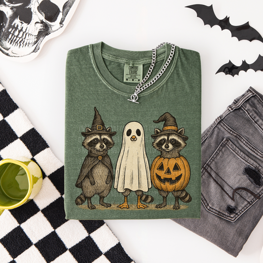 Halloween Racoon Trio