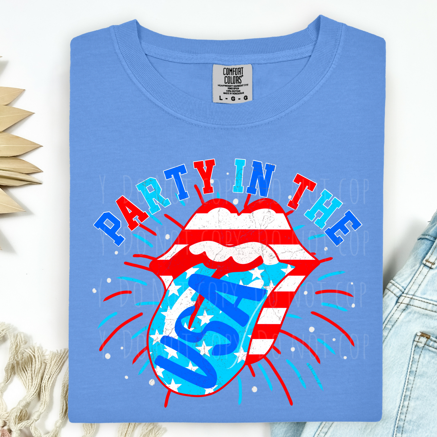 Party In The USA