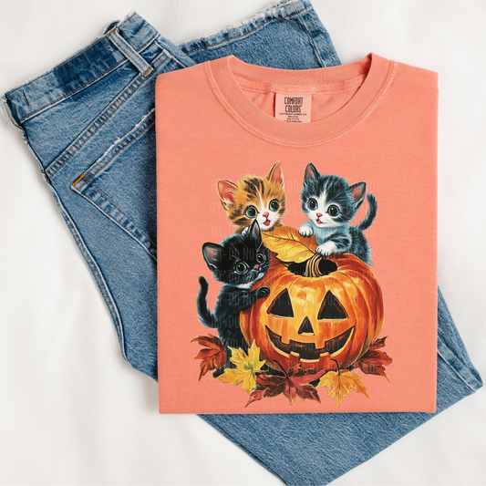 Vintage Pumpkin Kittens