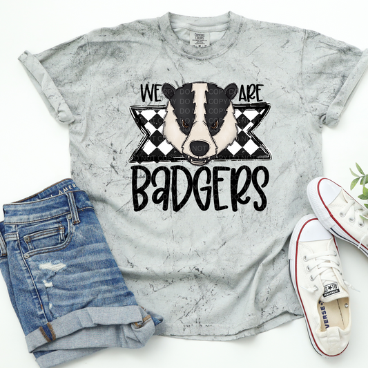 We Are Badgers